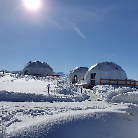 Glamping Pasieka Namiot Glamp Bukowina Tatrzanska - Domki W Gorach Gron Экстерьер фото