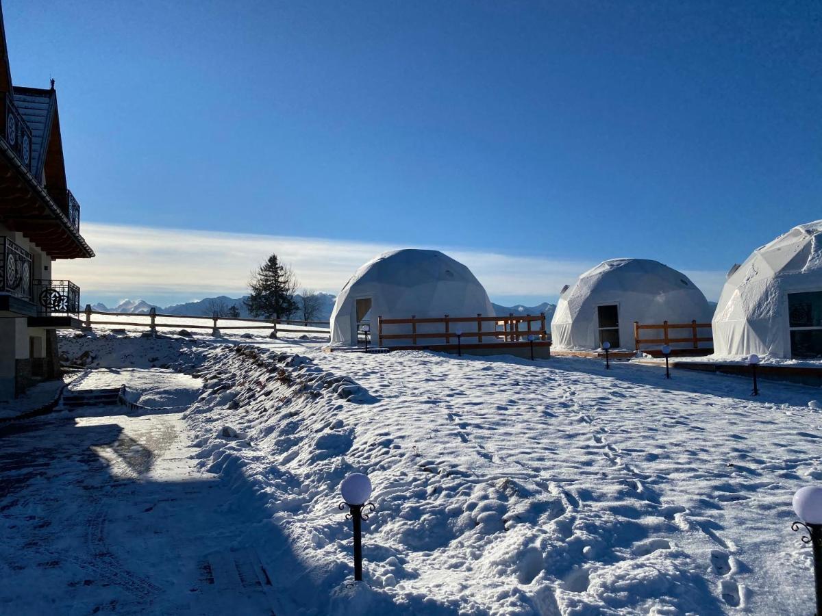 Glamping Pasieka Namiot Glamp Bukowina Tatrzanska - Domki W Gorach Gron Экстерьер фото