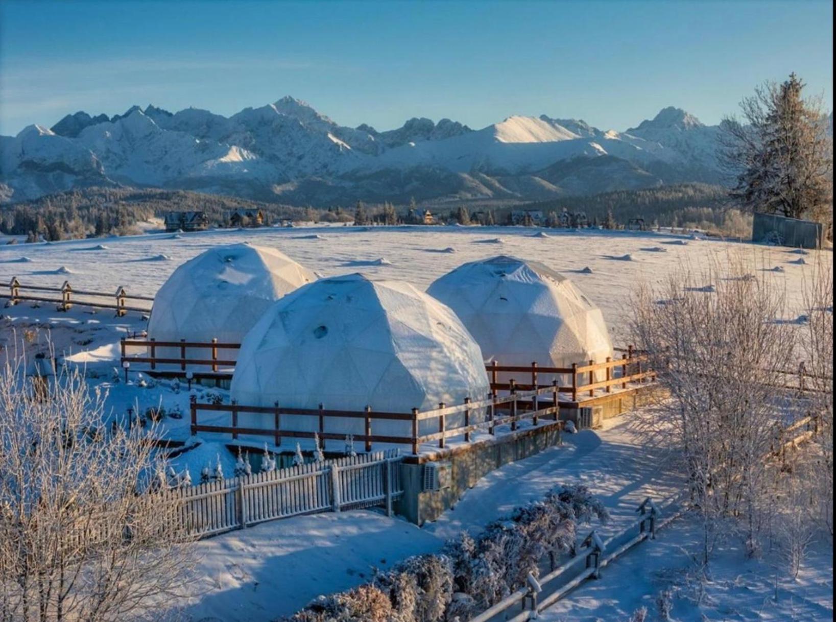 Glamping Pasieka Namiot Glamp Bukowina Tatrzanska - Domki W Gorach Gron Экстерьер фото